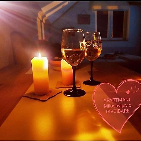 Apartmani Milosavljevic Divčibare Exteriér fotografie